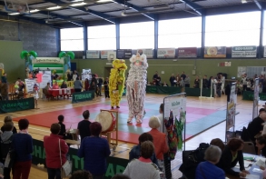 Danse du lion par l'A.K.F.P.