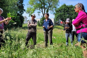 Les participants ont découvert les particularités et les usages des plantes.