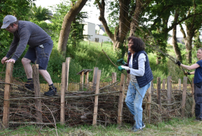 4 chantiers se sont déroulés :l'installation d'une haie sèche.