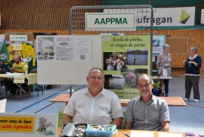 Stand A.A.P.P.M.A.