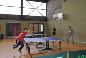 démonsration Tennis de table