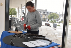 Semaine Bleue inauguration 11