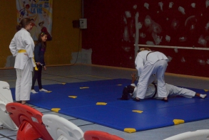 Démonstration de judo
