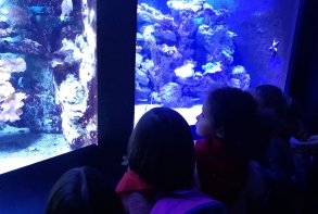 Sortie à l'aquarium de Saint-Malo