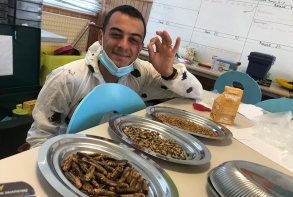 Dégustation d'insectes