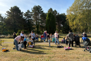 Sortie au bois des Châtelets