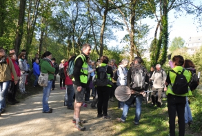 Continuité écologique des cours d’eau : une intervention animée par Viv'armor, au niveau de l’étang de Robien.