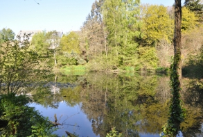 Etang de Robien
