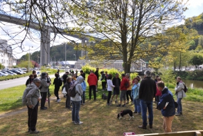 Au Légué, éclairages sur les mammifères aquatiques, les plantes invasives et la pollution des cours d’eau, par le Groupement Mammologique Breton et Saint-Brieuc Armor Agglomération.