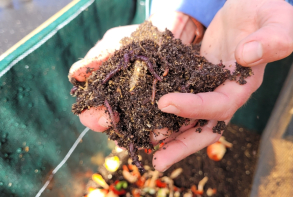Actualité : installation de lombricomposteurs cuisine centrale septembre 2025 1