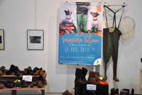 Galerie diaporama inauguration Semaine bleue 2016
