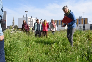 Diaporama : A la découverte des plantes sauvages photo de couverture mai 2023