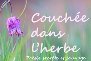 Actu expo_vallee_herbe.png