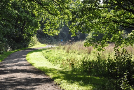 Vallée du Goëlo et chemin