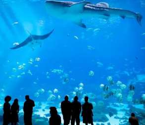 Agenda sortie aquarium 29 août 26
