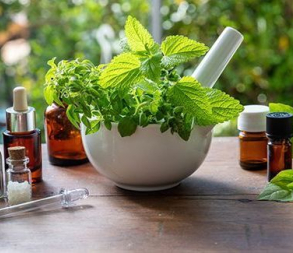 Agenda conférence naturopathie 6 oct 26