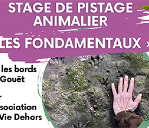 visuel_agenda_stage_pistage_animalier.png