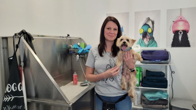 Annuaire commerces salon de toilettage canin Petra Porket