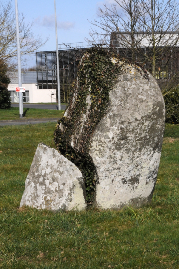 le_sabot_de_margot.jpg