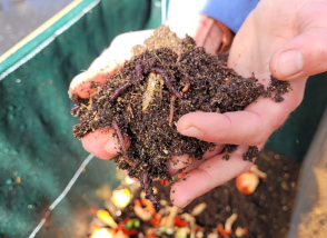 Actualité : installation de lombricomposteurs cuisine centrale septembre 2025 1