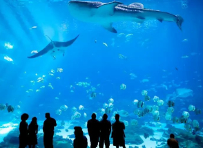 Agenda sortie aquarium 29 août 26