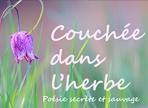 Actu expo_vallee_herbe.png