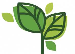 fleur eco gestes