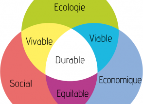 Graphique expliquant le développement durable
