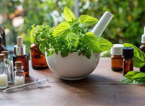 Agenda conférence naturopathie 6 oct 26