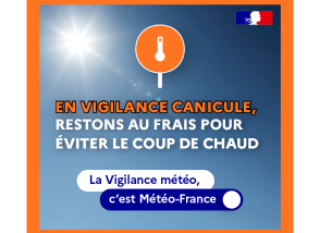 Actualité alerte canicule été 2025