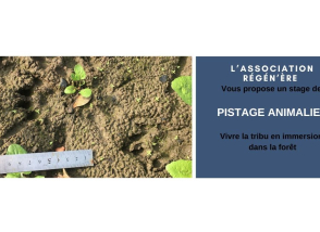 Agenda stage_de_pistage fév 24