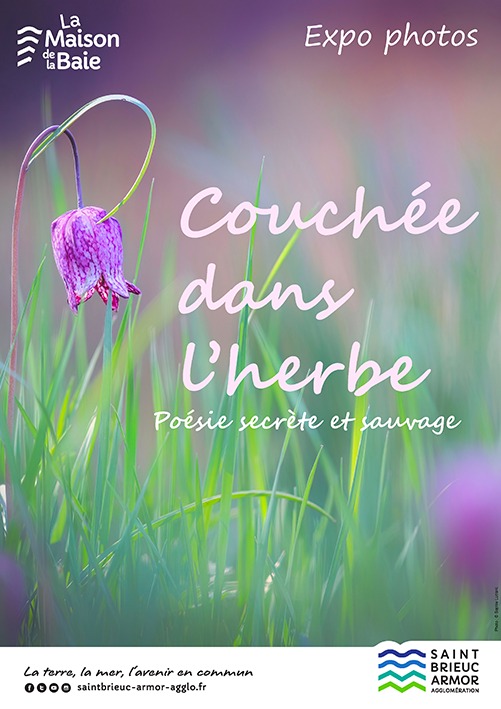 affiche_2_maison_de_la_biaue_couchee_dans_lherbe_vide.png
