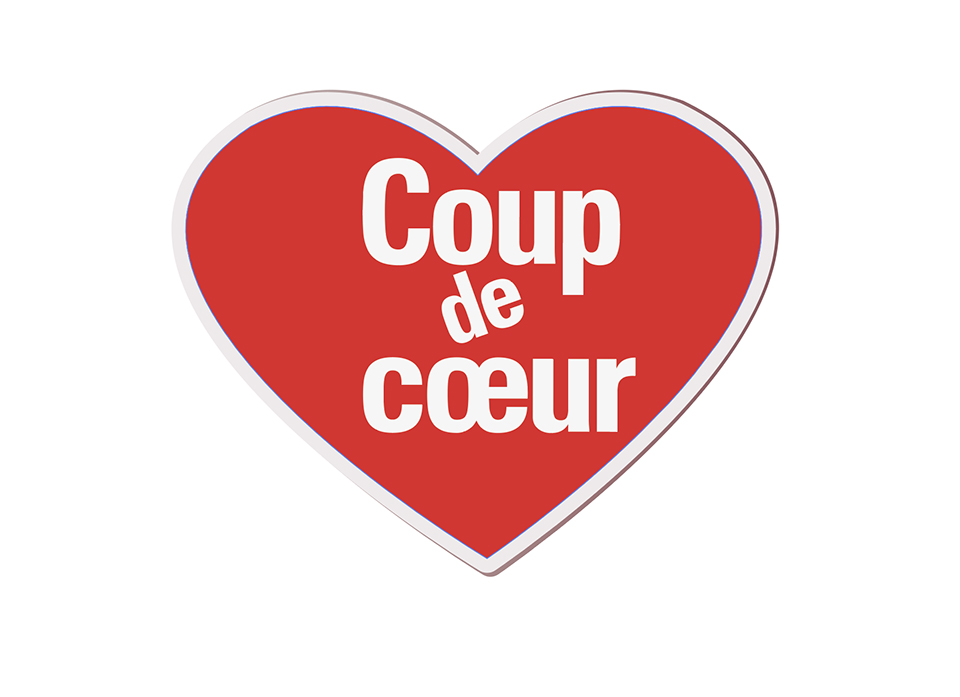 Logo coup de cœur Médiathèque