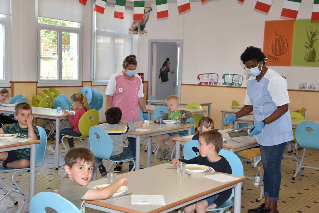 Actualité restauration scolaire